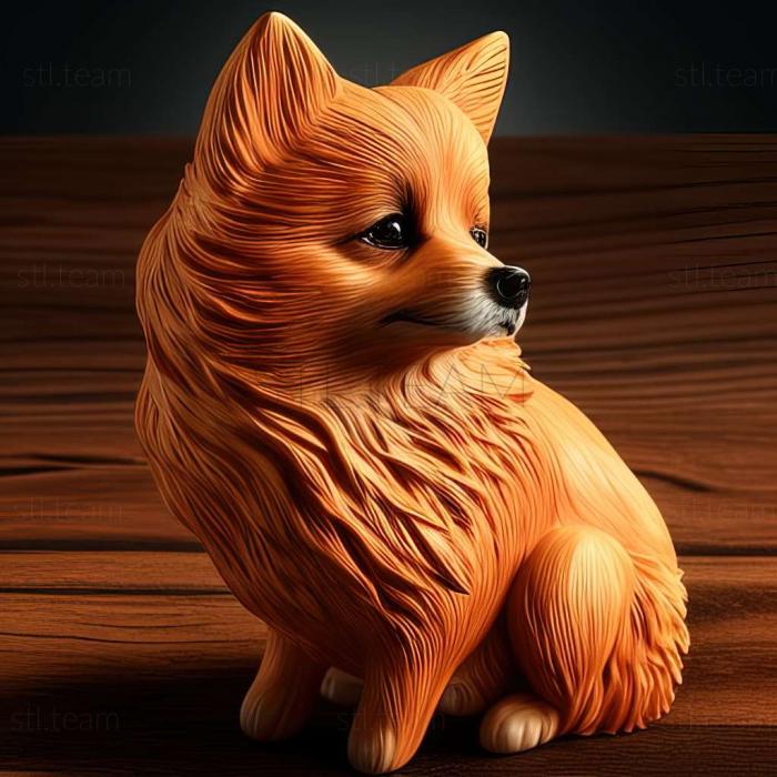 Animals German Spitz dog